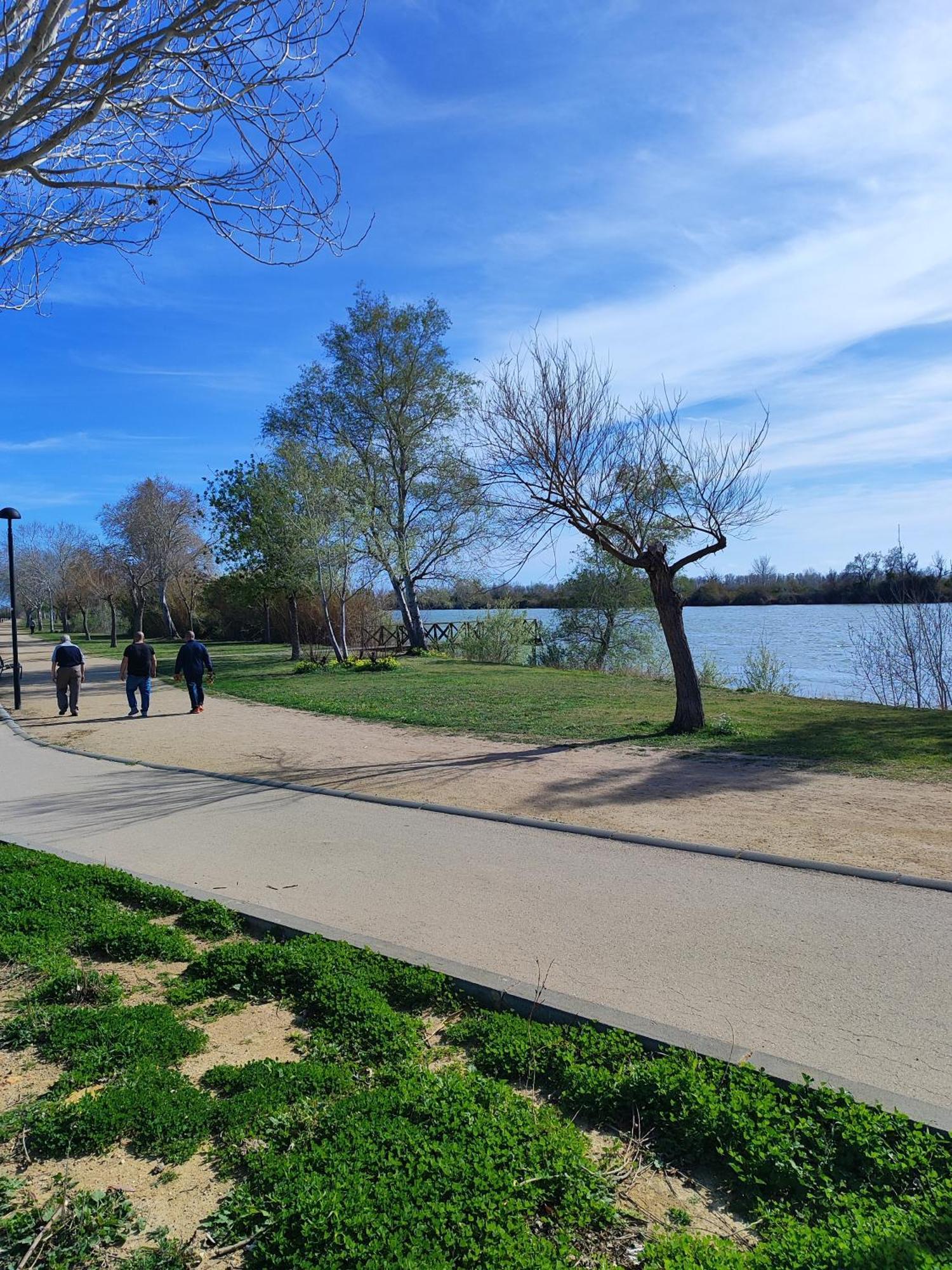 Appartamento La Barcassa De Deltebre Esterno foto
